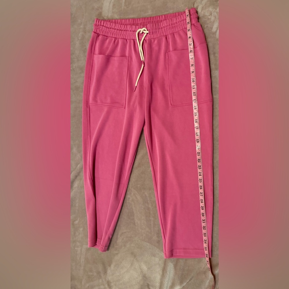 Splendid Massie Scuba Knit Sweatpants pink Size XL - Picture 10 of 13